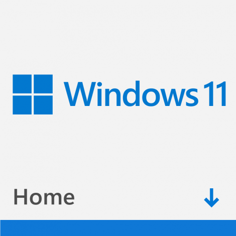 Windows 11